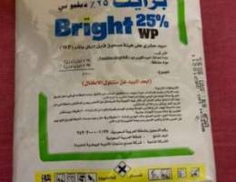 Bright25%