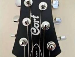 Electric Guitar