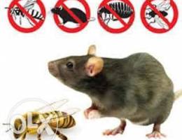 Home pest control service available