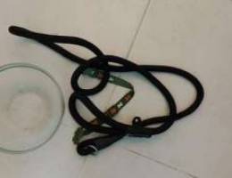 Urgent sale dogs leash and collor and pot