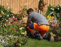 Gardener / Horticulturist