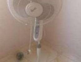 Fan for sale