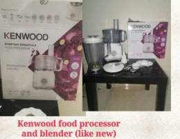 Food processor and blender