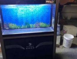 Aquarium tank for sale