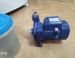 water pump Made in Italy