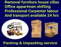 Best Rate Mover Packer House Shifting Prof...