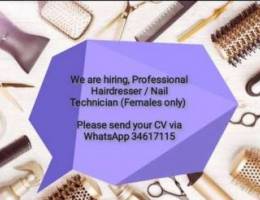 looking for lady staff