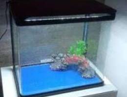 AQUARIUM for sale