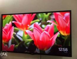 50â€ inch LG tv led only