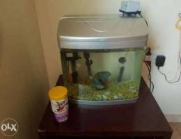 Fish tank for sale