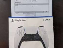 PS5 Controller