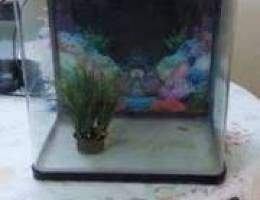 Acquarium For Sale