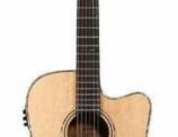 Alvarez Acoustic Electric Professional Gui...