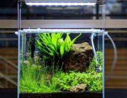 nano planted tank for sale