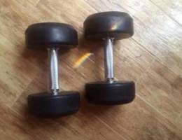 Dumbbells for sale