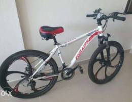 Phillips quality mountain bike