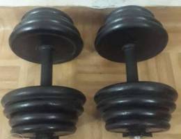 dumbells set 25kgs