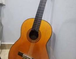 For sale guitar c70