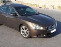 Nissan Maxima 2012 (Brown)