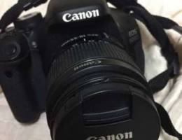 Canoon 600D