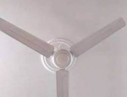 Ceiling fan