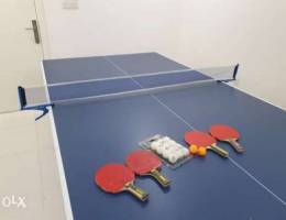 Table tennis table, net, bats and balls