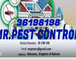 Quality Pest control Services