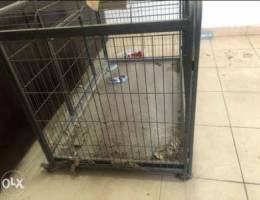 X-Large dog cage - Perfect Condition