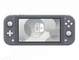 Switch lite