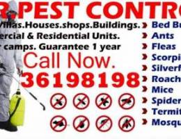 Pest Control Services with guarantee