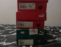 Puma shoes new