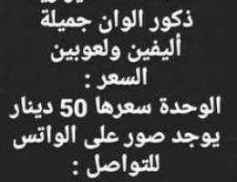 Ù‚Ø·Ø· Ø´ÙŠØ±Ø§Ø²ÙŠØ©