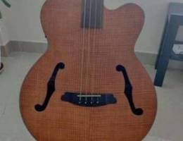 Acoustic Bass Guitar