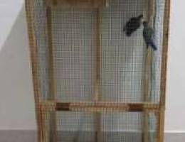 Love bird with cage