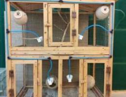 Bird cage for sale