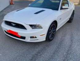 mustang 2013