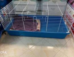 pet big cage