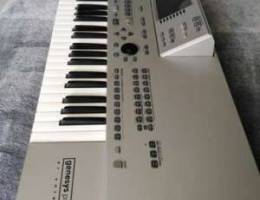 GEM Genesys Pro Oriental Keyboard EXCELLEN...