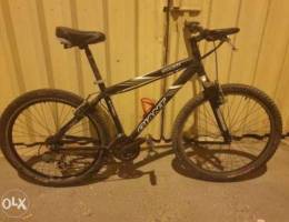 Giant bicycle for sale