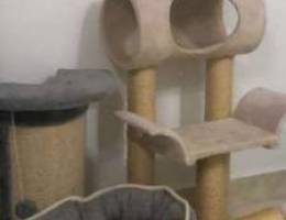 cat stuff for sale