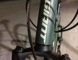 MTB bike Giant Talon 4 2021