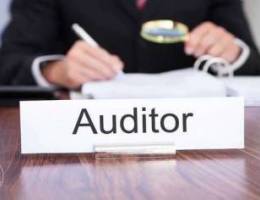 Auditing_VAT_ Accounting Service