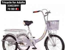 Fordable Tricycle