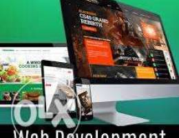 Website Design development / ecommerce web...