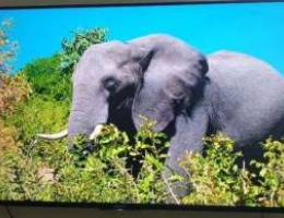 SONY BRAVIA 4K SMART TV 55" in top notch c...