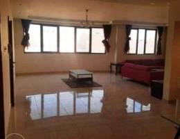 Fully furnished apartment for rent