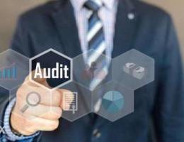 Yearly Auditing Service