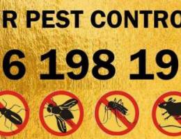 Pest control Services with Guarantee
