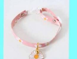 cats collar