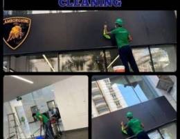 Professional Cleaning Services? Call Bibi ...